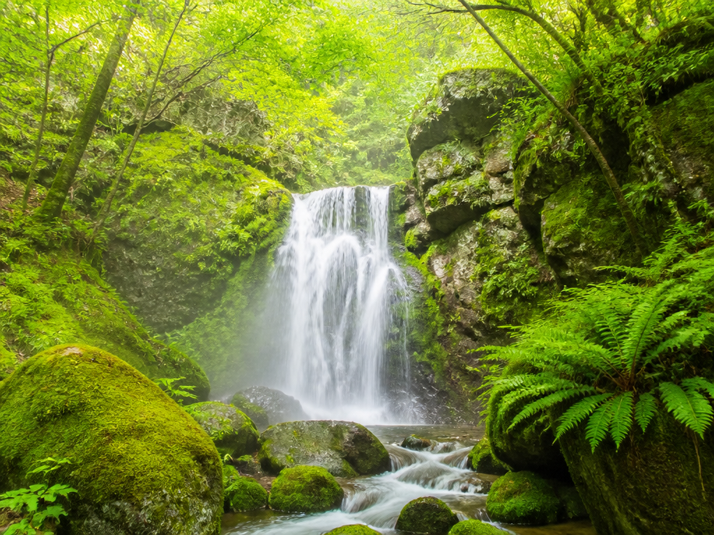 見出し画像5